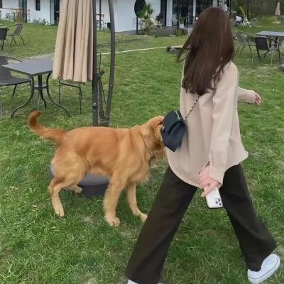 飞驰人生海报